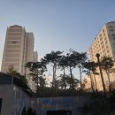 가락마을 세탁 이미지