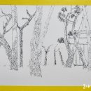 소양강로 이미지