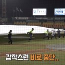 [KBO 프로야구] 우천취소 되자 아쉬움에 덕아웃을 못 떠나던 선수 이미지