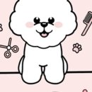 개이쁘개 이미지