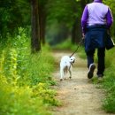 예사랑병원 이미지