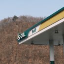 나우캠핑장관광농원 | 영월 당마루 관광농원 캠핑장 데크 사이트 캠핑