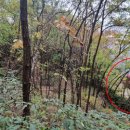 성미산체육관 화장실 이미지