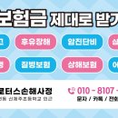제주토마토약국 이미지