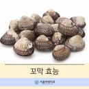 벌교사랑치과 네이버블로그