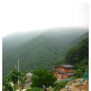 광양참숯불구이 네이버블로그
