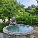 네오스 양양 이미지