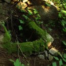 자락길 옹달샘 이미지