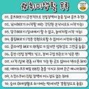 취미 Daum카페