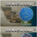 두진카 네이버블로그