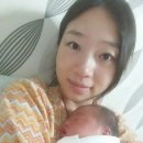 가장맛있는족발거제 이미지