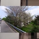 소병수이비인후과의원 이미지