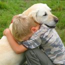 엠티브이11로 이미지