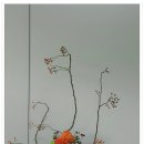 동양 꽃꽂이 이미지