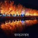 (주)은행나무 이미지