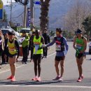 3.1절 기념 밀양 역전마라톤 출발~~ 8주자 김창원 이미지