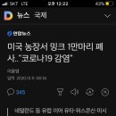 돼지수퍼 이미지