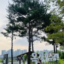 럽투잇 | 초딩 주말 일상..옥정애견간식 작정하고 쇼핑하는 날🐾(feat, 애견용품 할인매장 vs 애견수제간식 판매점)