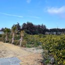 오르비에터 이미지