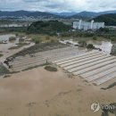 물만난 하우스 이미지