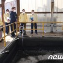 도성축산 이미지