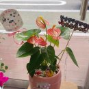 웅동1동행정복지센터 이미지