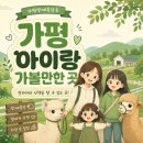 막내목장 | 가평 아이랑 가볼만한곳｜조카들과 다녀온 가평양떼목장 내돈내산 후기