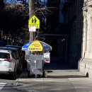 Luxury Dog | 11일차 1.2(Billy'S Hot Dog+MoMA + Halal Guys 본점...Leeuwen+Rough trade+허쉬 +시카고 뮤지컬 후기)