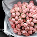 포유호텔 이미지