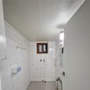 금빛초교 이미지