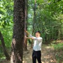 죽포출장소 이미지