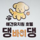 댕바이댕 이미지