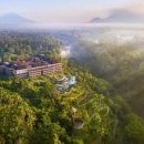 파드마투어 이미지