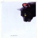 은 세상 이미지