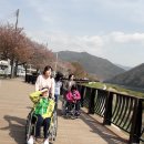 단양군보건소 이미지