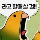 3008주유소