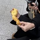 웃음많나 와
