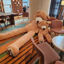 리베라C.C 피트니스센터 | 평창 휘닉스파크 숙소 호텔 추천 어라운드 평창 스위트룸 솔직후기