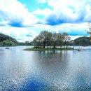 의림지 공영주차장 이미지