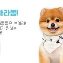 바라봄동물병원 이미지