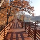 신대호수 이미지