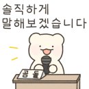 신돈키호테 이미지