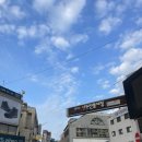 강천산 캠핑 | 광주 근교 계곡 물놀이 _ 강천산군립공원 오픈런