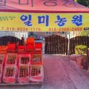 일미농원 이미지