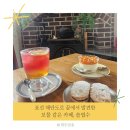 크린에이드제주표선점 | 표선 카페 솔엽수｜해안도로 끝에서 발견한 동화 같은 애견동반 카페
