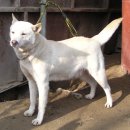 보화1로1 이미지