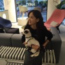 로얄동물메디컬센터w 이미지