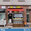 개밥파는고양이동양점