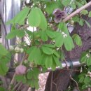 금사초등학교 이미지