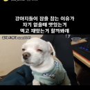 유슐랭 PICK 도산맛집 / <b>꽁티</b>드툴레아, <b>비</b>오는 압구정 데이트… 진행시켜